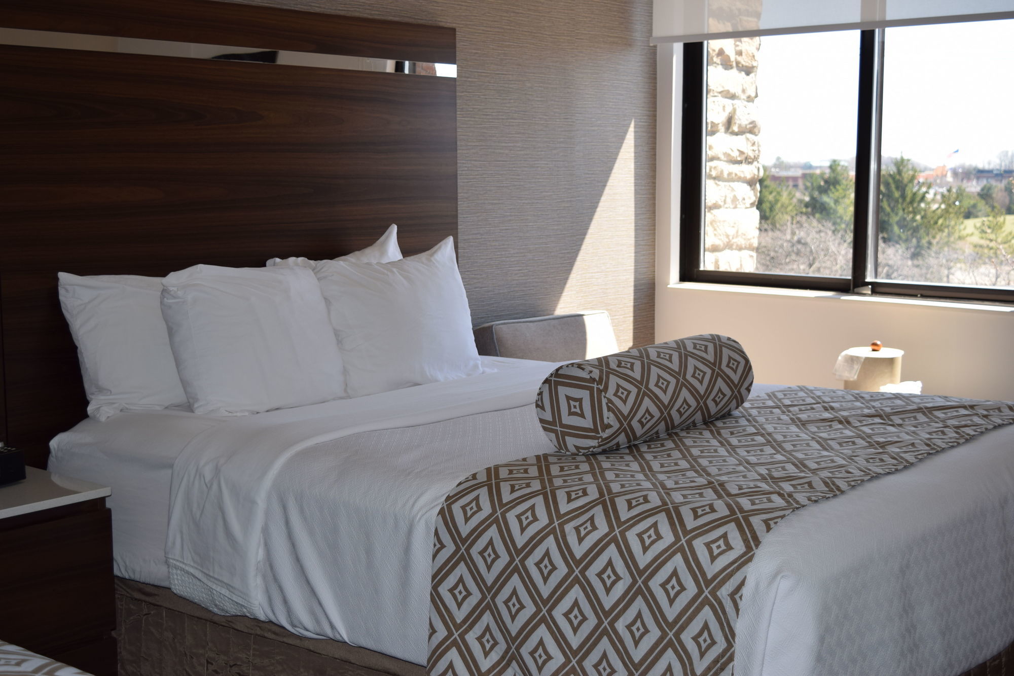 Four Points By Sheraton Detroit Novi Δωμάτιο φωτογραφία